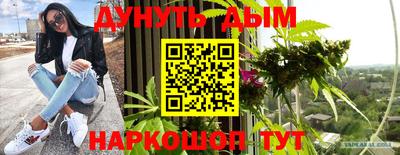 молекула духа Новозыбков