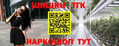 молекула духа Новозыбков