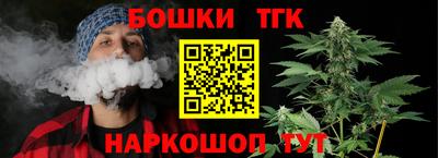 молекула духа Новозыбков