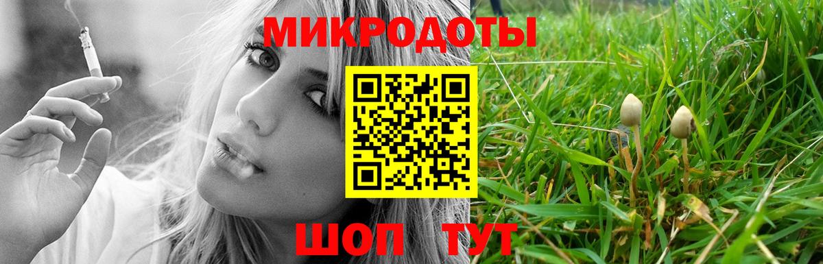 Нижнекамск  Псилоцибиновые грибы прущие грибы  Вход с VPN 